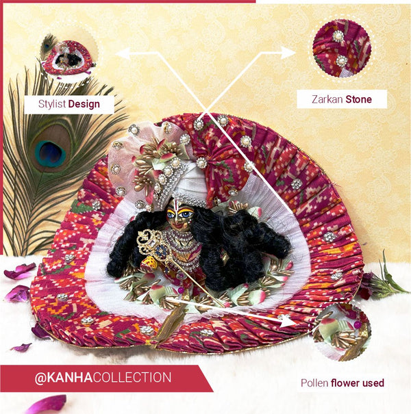 Most Beautiful Patola dress for janamastmi