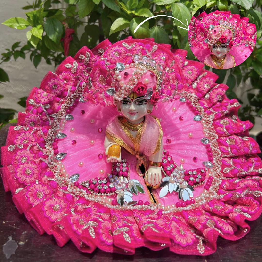 Most Preety Butterfly Hand Embroidery  Dress for janmashtami