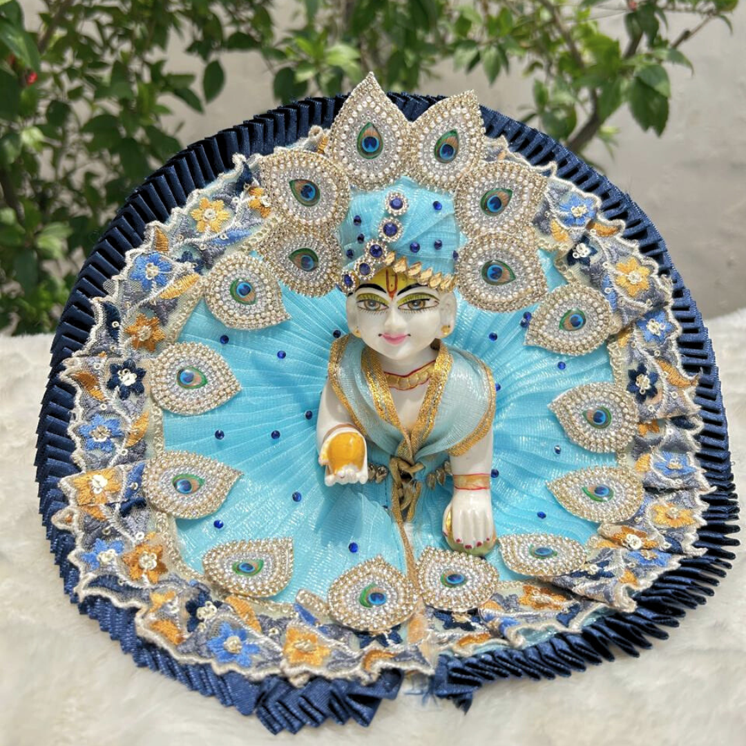 Beautiful Mor Pankh Dress