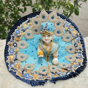 Beautiful Mor Pankh Dress