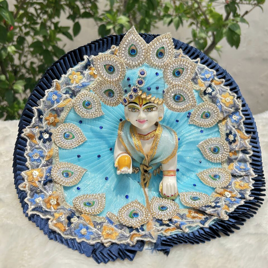Beautiful Mor Pankh Dress