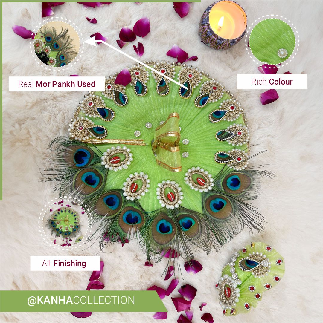 SUPER HEAVY AND ELEGANT MOR PANKH DRESS