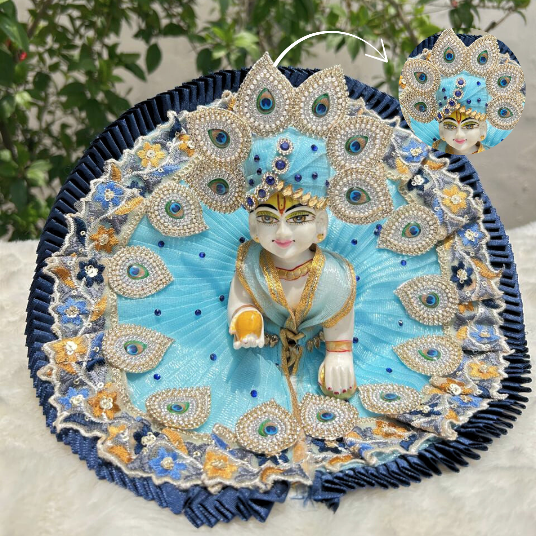 Beautiful Mor Pankh Dress