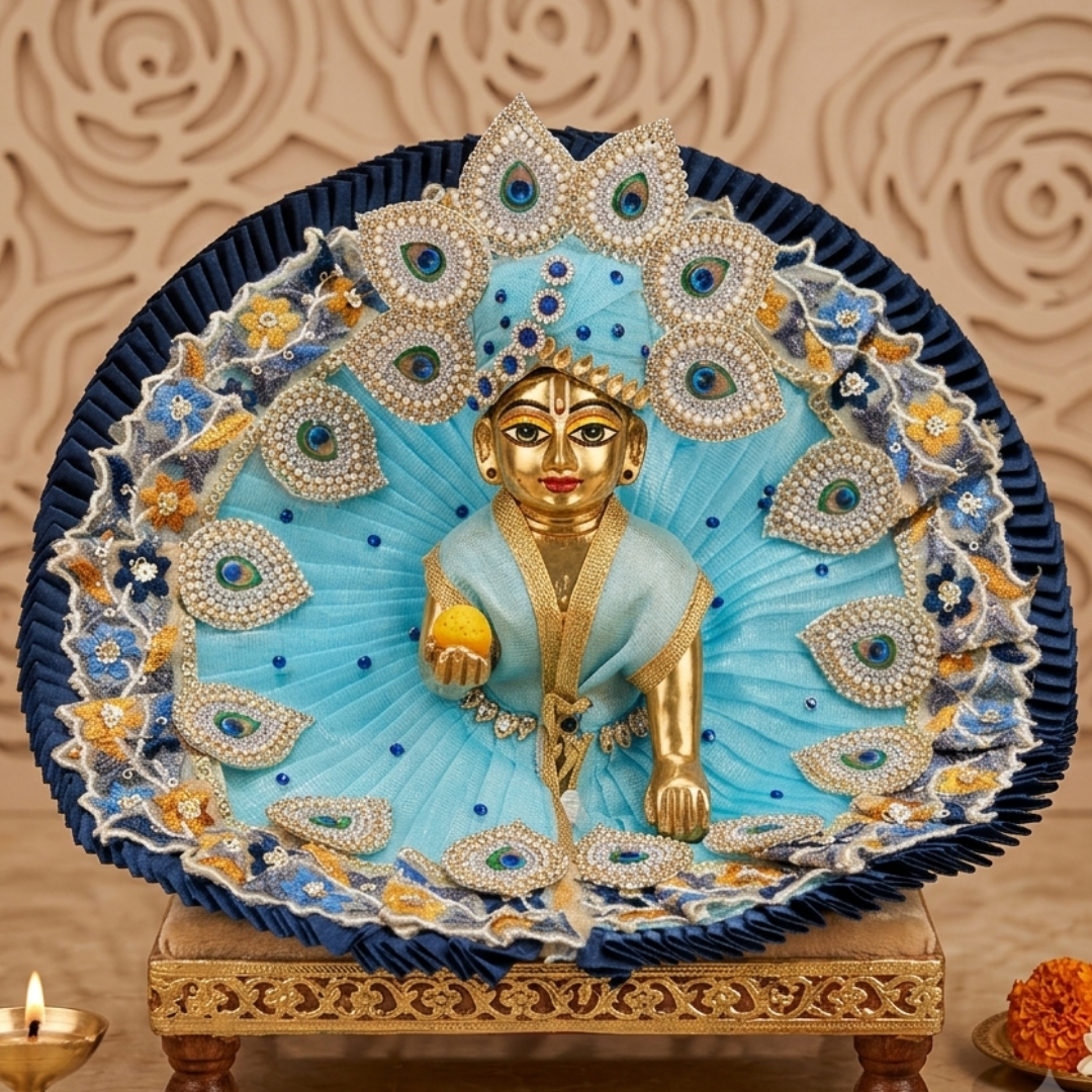 Beautiful Mor Pankh Dress