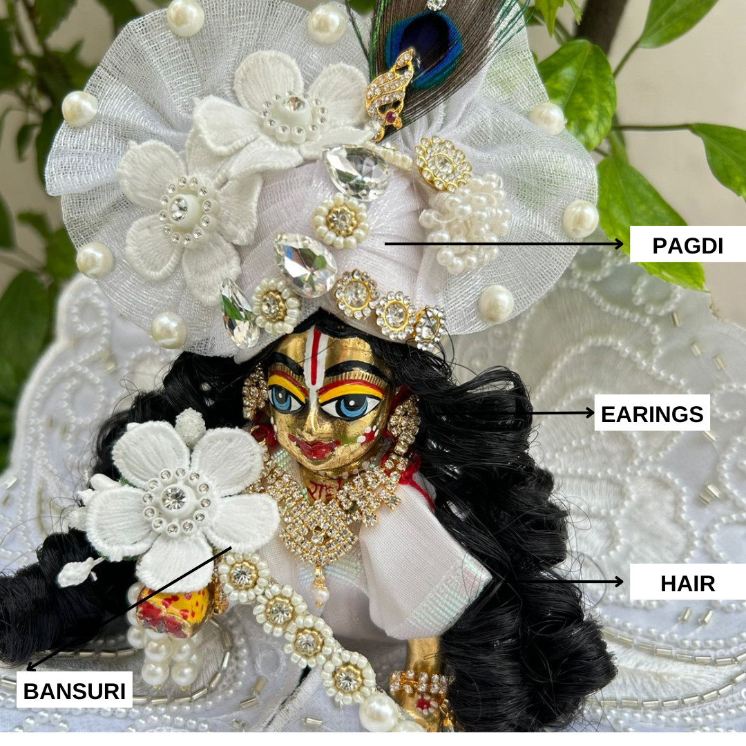 Festive Combo – 2 Dresses & Jewellery (12Pc Set)