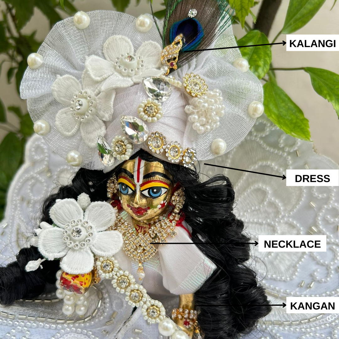 Festive Combo – 2 Dresses & Jewellery (12Pc Set)