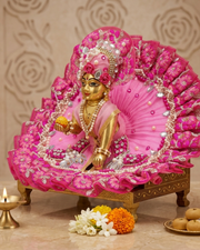 Most Preety Butterfly Hand Embroidery  Dress for janmashtami