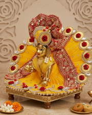 Beautiful yellow dress for janmashtami